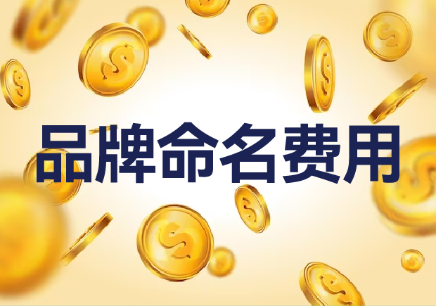 國(guó)內(nèi)外品牌命名費(fèi)用是多少？