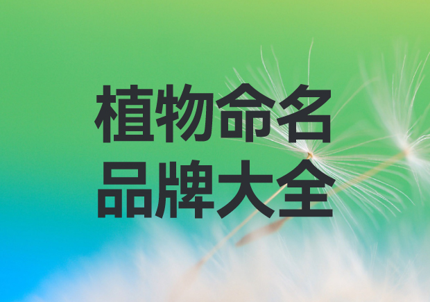 以植物命名的品牌有哪些？
