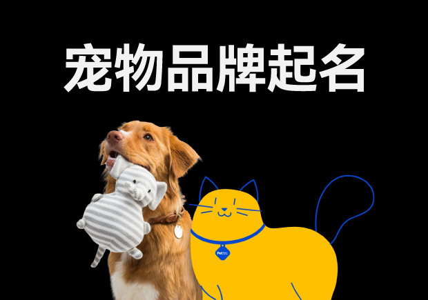 寵物品牌起名怎么?。汉妹质莿?chuàng)意與市場(chǎng)的完美融合